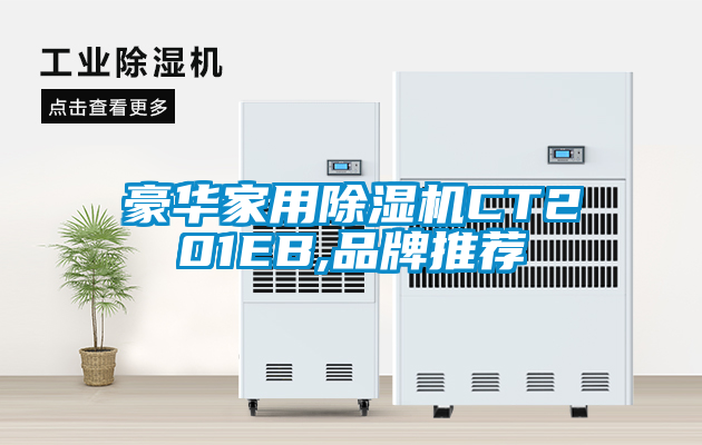 豪华家用除湿机CT201EB,品牌推荐