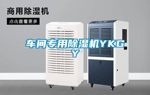 车间专用除湿机YKGY