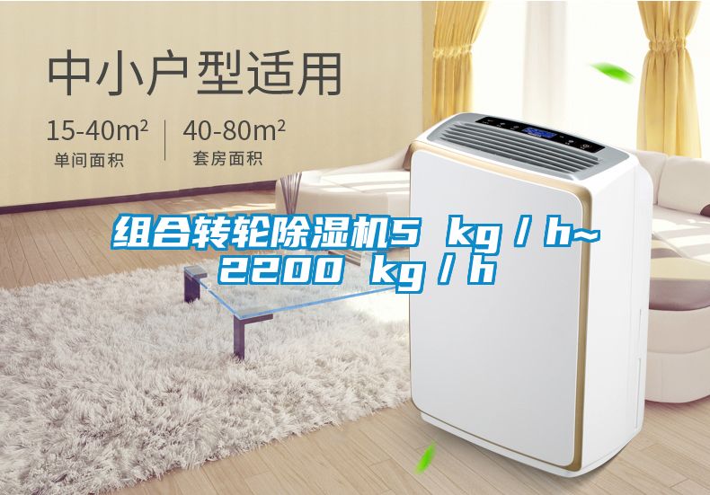 组合转轮除湿机5 kg／h~2200 kg／h