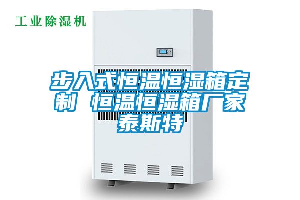步入式恒温恒湿箱定制 恒温恒湿箱厂家泰斯特