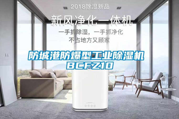 防城港防爆型工业除湿机 BCFZ10