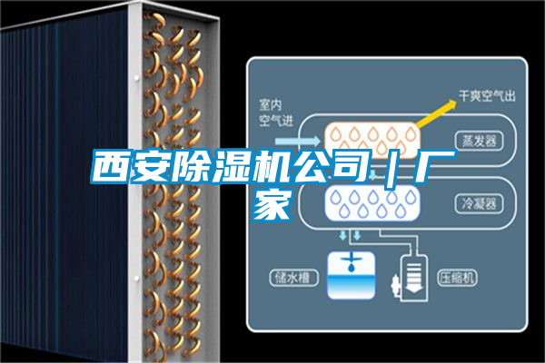 西安除湿机公司｜厂家