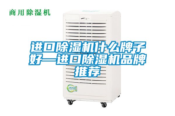 进口除湿机什么牌子好—进口除湿机品牌推荐