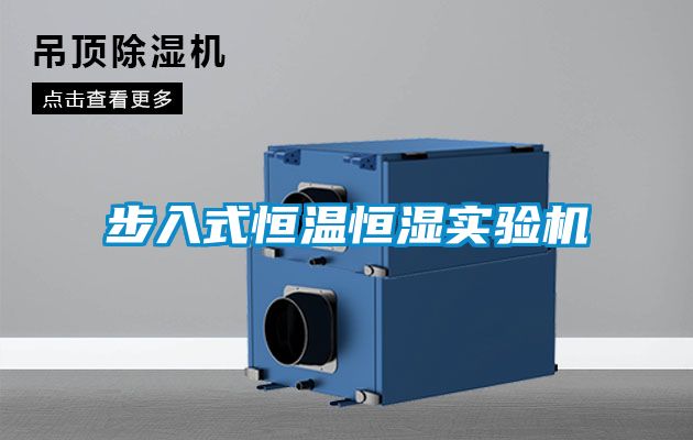 步入式恒温恒湿实验机