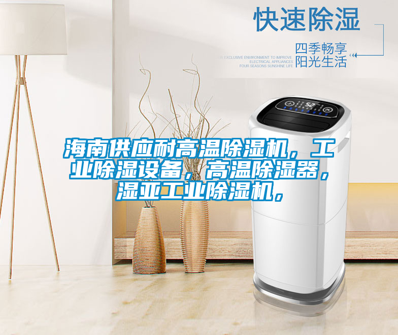 海南供应耐高温除湿机，工业除湿设备，高温除湿器，湿亚工业除湿机，