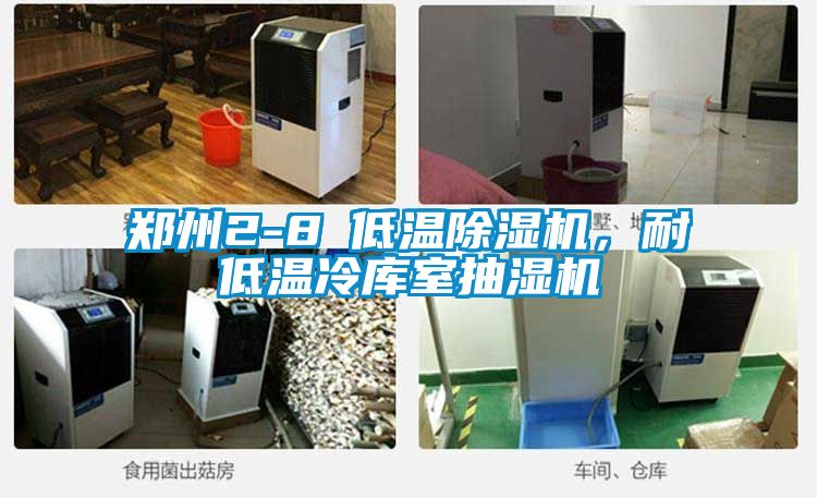 郑州2-8℃低温除湿机，耐低温冷库室抽湿机