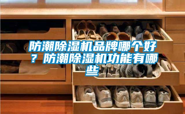 防潮除湿机品牌哪个好？防潮除湿机功能有哪些