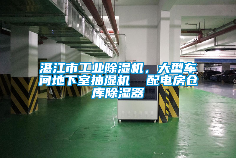 湛江市工业除湿机，大型车间地下室抽湿机  配电房仓库除湿器