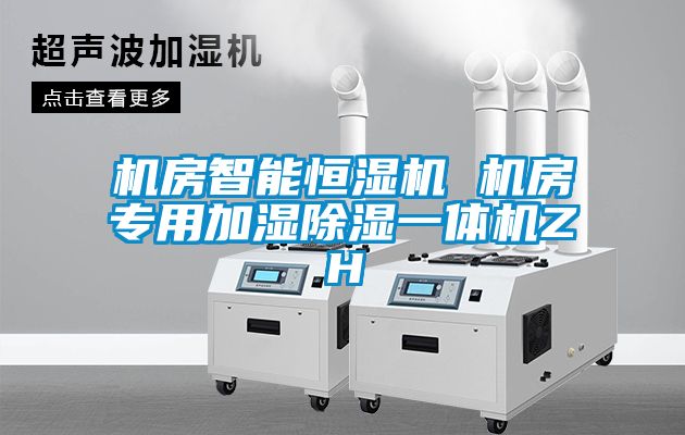 机房智能恒湿机 机房专用加湿除湿一体机ZH