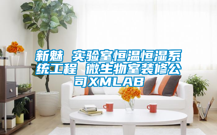 新魅 实验室恒温恒湿系统工程 微生物室装修公司XMLAB
