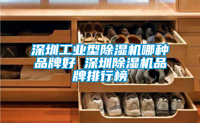 深圳工业型除湿机哪种品牌好 深圳除湿机品牌排行榜