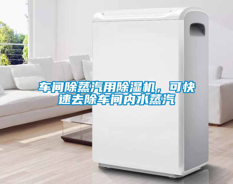 车间除蒸汽用除湿机，可快速去除车间内水蒸汽