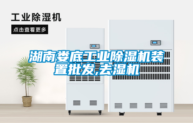 湖南娄底工业除湿机装置批发,去湿机