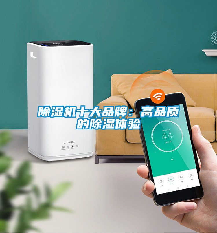 除湿机十大品牌：高品质的除湿体验