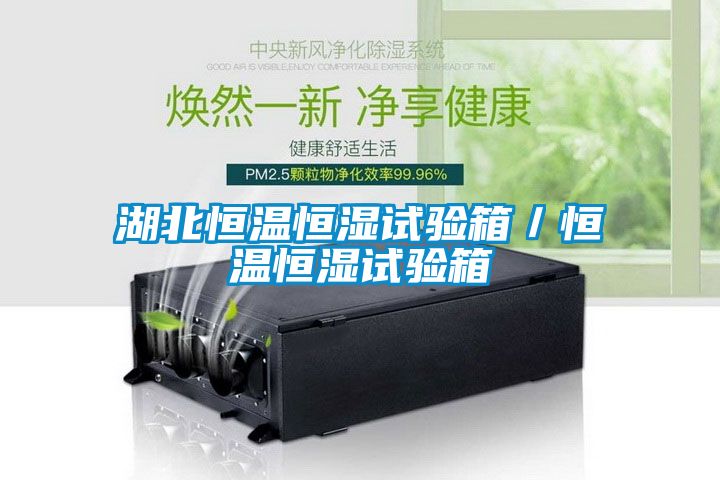 湖北恒温恒湿试验箱／恒温恒湿试验箱