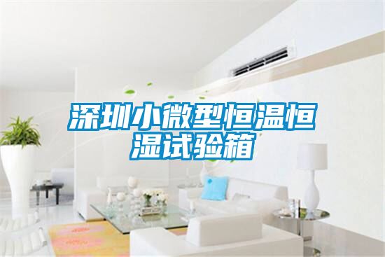 深圳小微型恒温恒湿试验箱