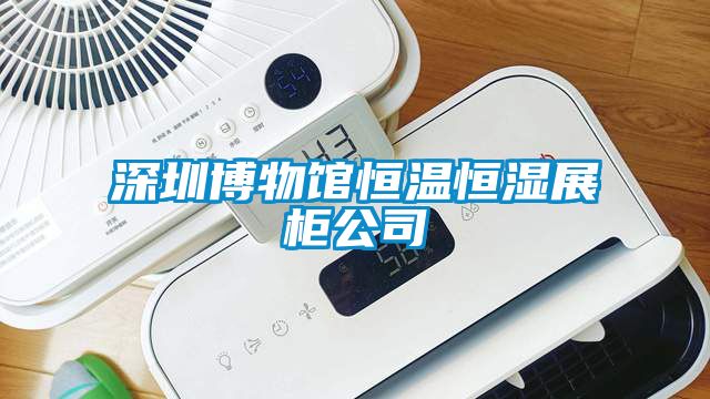 深圳博物馆恒温恒湿展柜公司