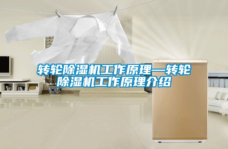 转轮除湿机工作原理—转轮除湿机工作原理介绍