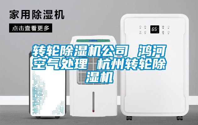 转轮除湿机公司 鸿河空气处理 杭州转轮除湿机