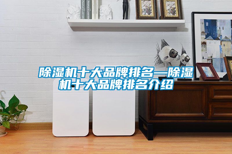 除湿机十大品牌排名—除湿机十大品牌排名介绍