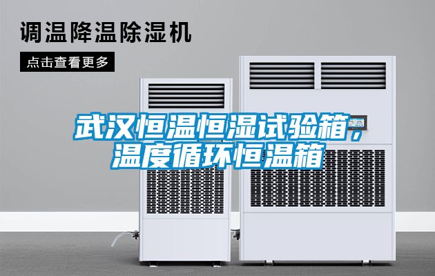 武汉恒温恒湿试验箱，温度循环恒温箱