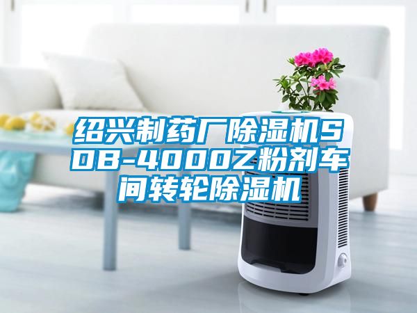 绍兴制药厂除湿机SDB-4000Z粉剂车间转轮除湿机