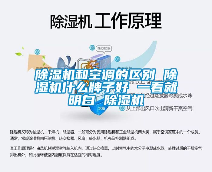 除湿机和空调的区别 除湿机什么牌子好 一看就明白 除湿机