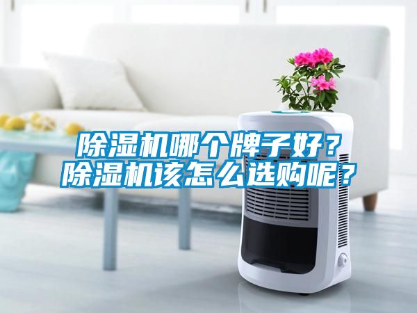 除湿机哪个牌子好？除湿机该怎么选购呢？
