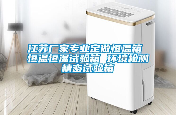 江苏厂家专业定做恒温箱 恒温恒湿试验箱 环境检测精密试验箱