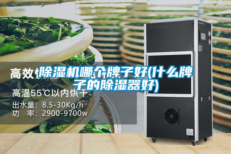 除湿机哪个牌子好(什么牌子的除湿器好)
