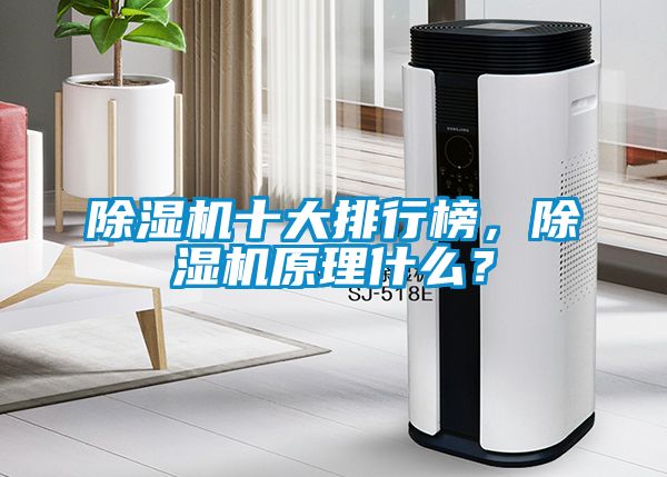 除湿机十大排行榜，除湿机原理什么？