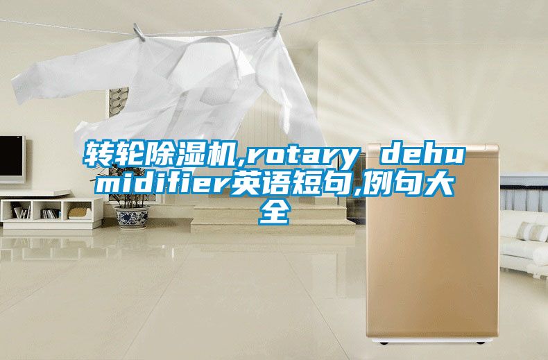 转轮除湿机,rotary dehumidifier英语短句,例句大全