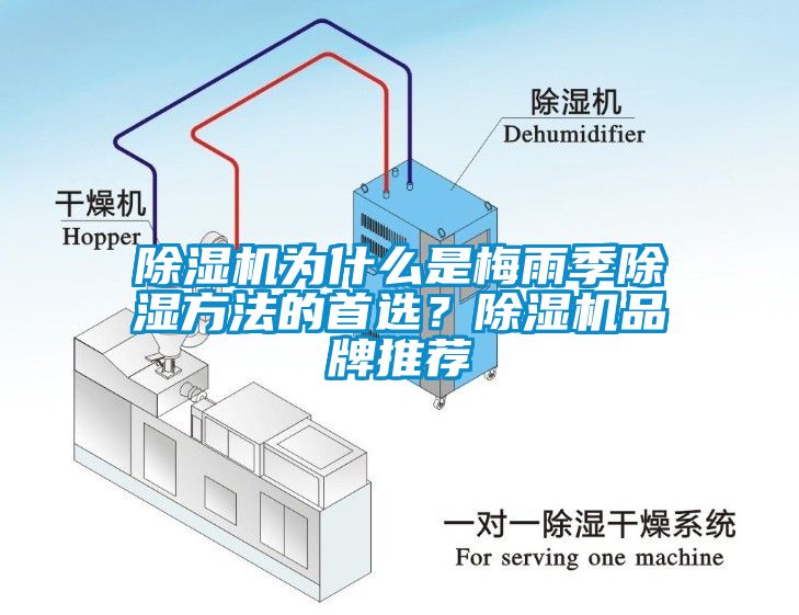 除湿机为什么是梅雨季除湿方法的首选？除湿机品牌推荐