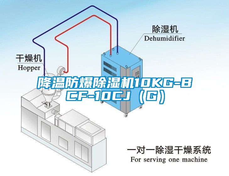 降温防爆除湿机10KG-BCF-10CJ（G）