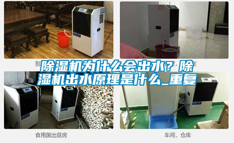 除湿机为什么会出水？除湿机出水原理是什么_重复