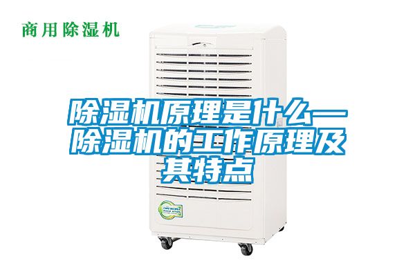 除湿机原理是什么—除湿机的工作原理及其特点