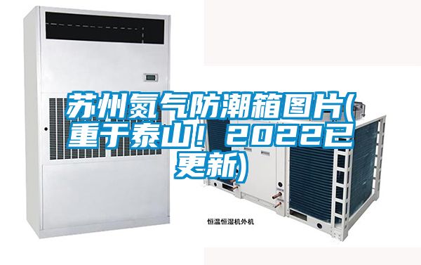 苏州氮气防潮箱图片(重于泰山！2022已更新)