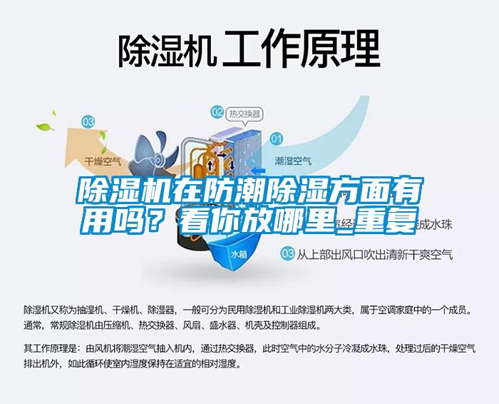 除湿机在防潮除湿方面有用吗？看你放哪里_重复