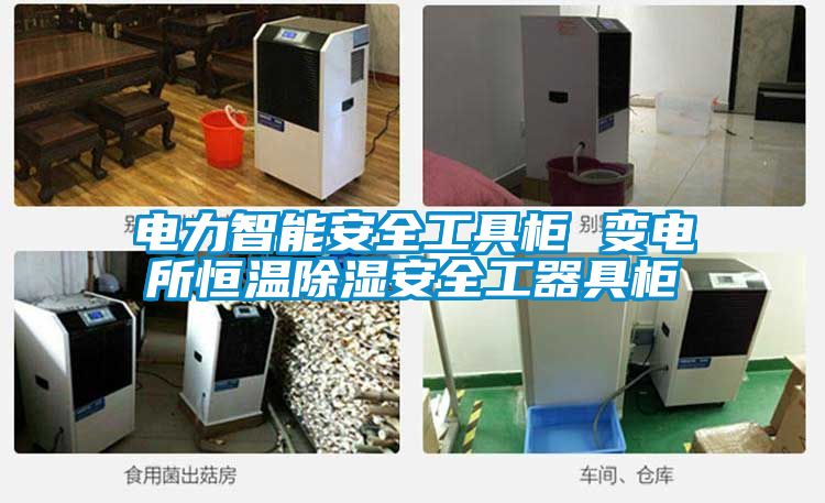 电力智能安全工具柜 变电所恒温除湿安全工器具柜