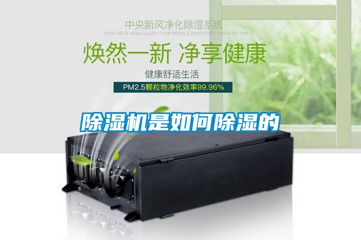 除湿机是如何除湿的