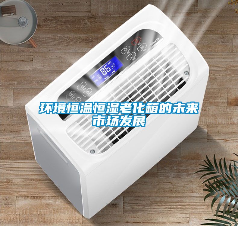 环境恒温恒湿老化箱的未来市场发展