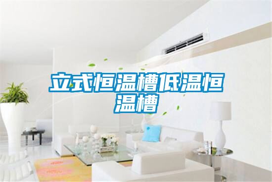 立式恒温槽低温恒温槽