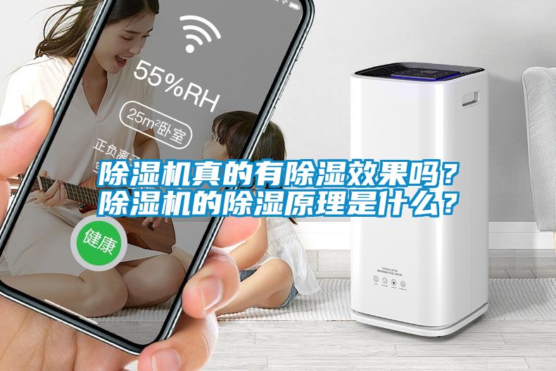 除湿机真的有除湿效果吗？除湿机的除湿原理是什么？