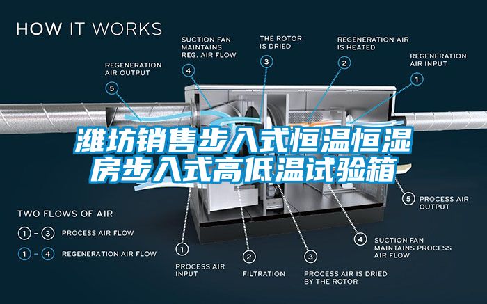 潍坊销售步入式恒温恒湿房步入式高低温试验箱