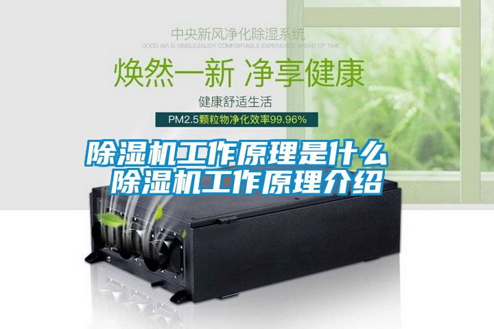 除湿机工作原理是什么 除湿机工作原理介绍
