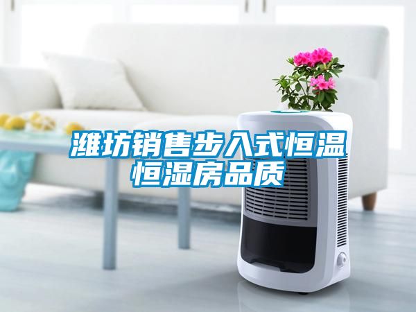潍坊销售步入式恒温恒湿房品质