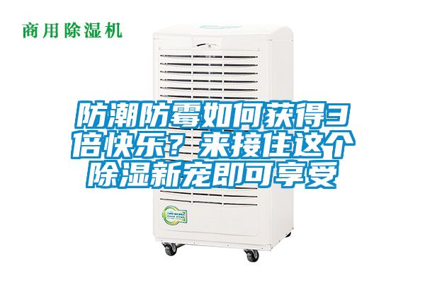 防潮防霉如何获得3倍快乐？来接住这个除湿新宠即可享受