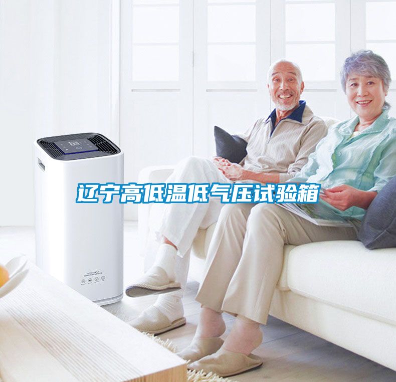辽宁高低温低气压试验箱