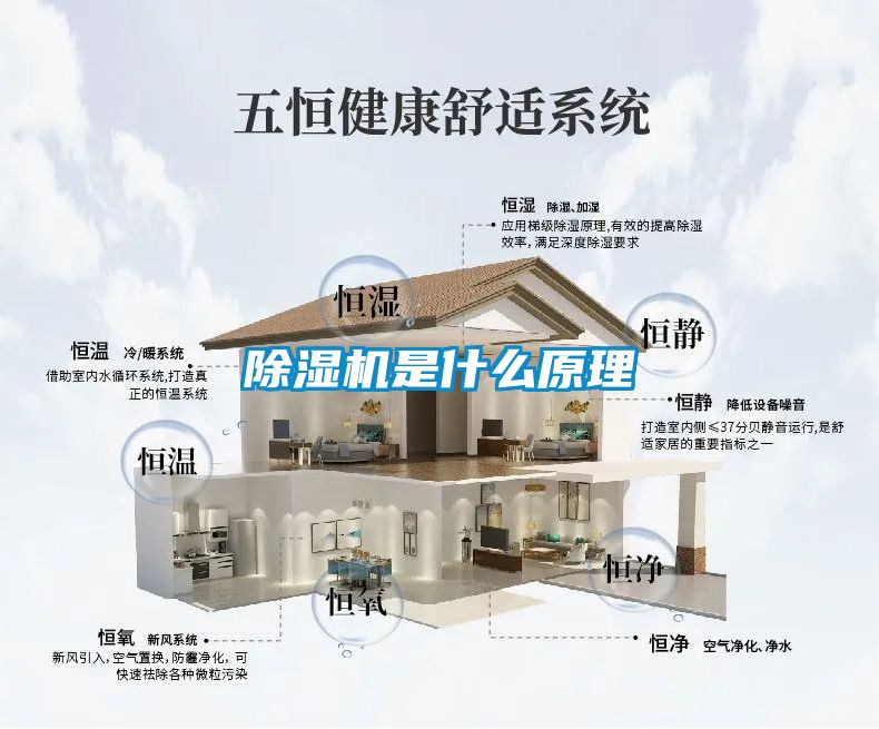 除湿机是什么原理