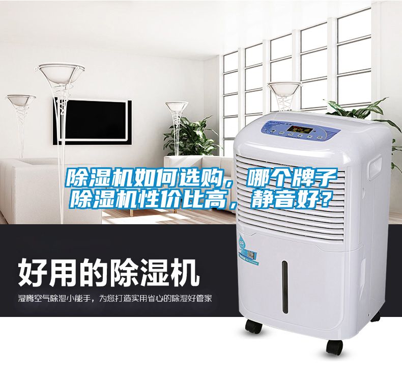 除湿机如何选购，哪个牌子除湿机性价比高，静音好？